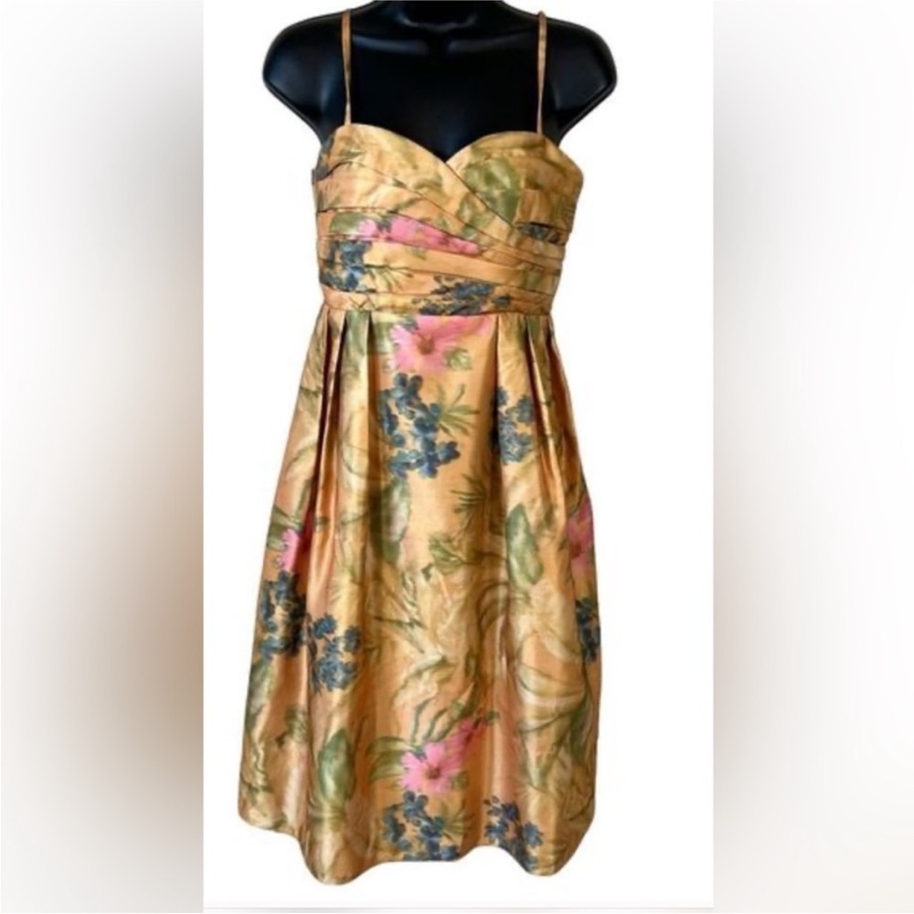 Anthropologie James Coviello dress. EUC size 4.